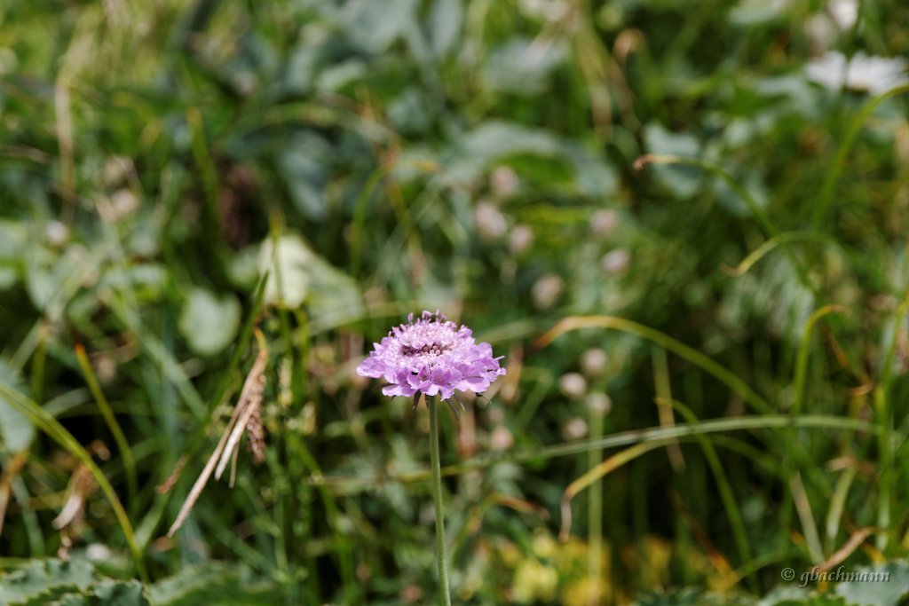 20130803_012